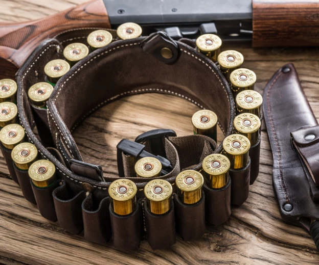 vente de munitions et cartouches à Beaulieu-les-Loches près de Loches en Indre-et-Loire 37