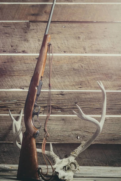 fusil à Beaulieu-les-Loches près de Loches en Indre-et-Loire 37